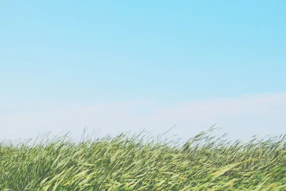 Καζίνο Τεντ Μπίνγκο Υποστηριξη